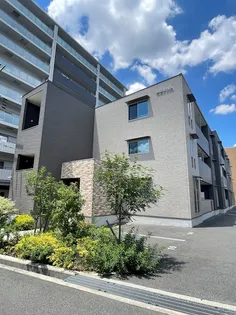 サクラシャインの画像