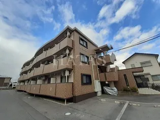 シンシアの画像