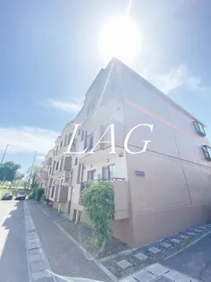 キャロットミノルの画像