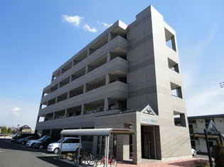エム エー TAMACHIの画像