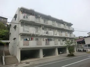 アヴィタシオンの画像