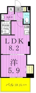 プレシャスヴィラ松戸【4階】の間取り