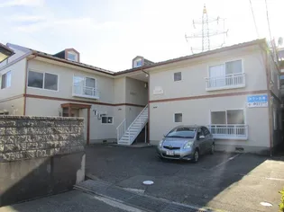 スワン白鳥の画像