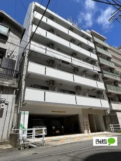 ブルーム桜の画像