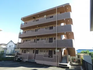 メゾン ショコラの画像