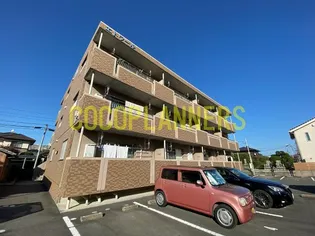 エトワールの画像