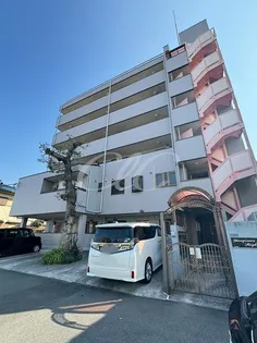 柳沢ハイツ【1階】の外観