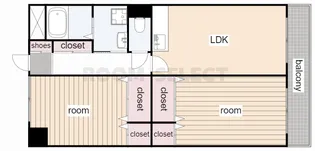 フォレストY【3階】の間取り