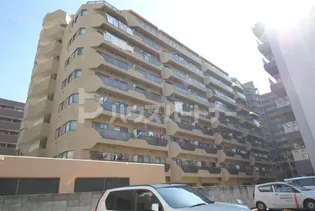 ツイン コートの画像