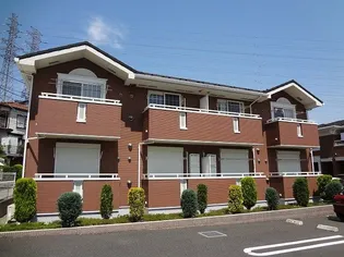 ヴィオラ マードレの画像