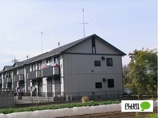 セレーノBの画像