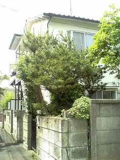 神奈川県川崎市中原区木月3【アパート】の外観