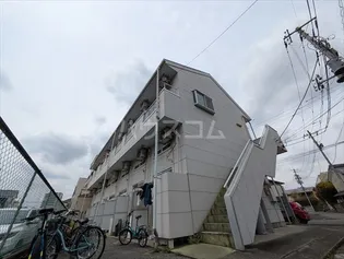 プラード千波の画像