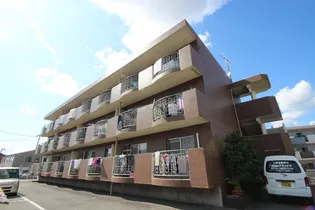 中央マンションの画像