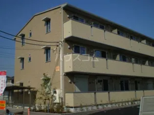 ロイヤルオークの画像