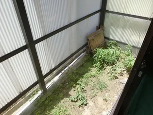 高野アパートの地図