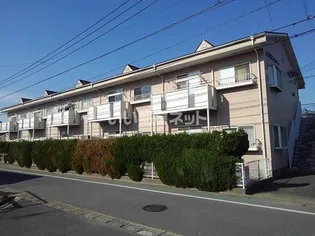 エグゼサカエAの画像