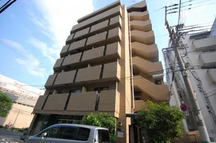 ゆずり葉の画像