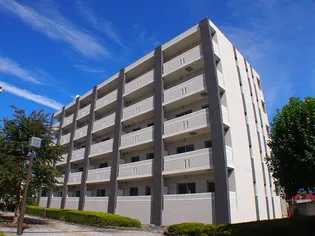 BELLA LUCE Bの画像