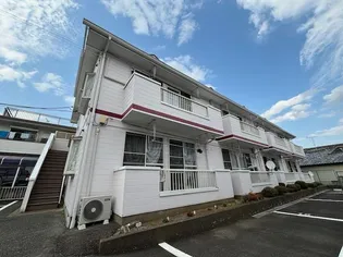 ジュネスオシダの画像
