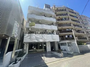 サン ルピナスの画像