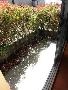 グランディール・ヴィ E棟【2階】の内装