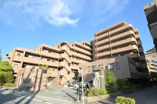 吹田野村ハイツアネックスの画像