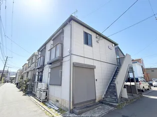 マルブライトの画像