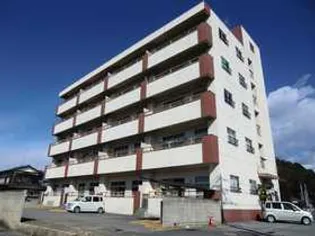 コロラード毛野の画像