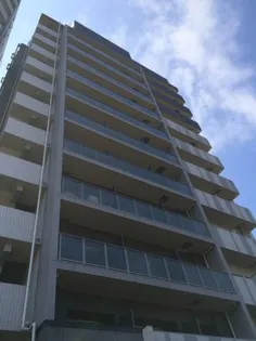 アルテシモレガの画像