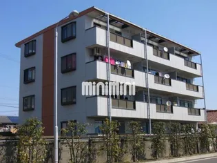 ハイネスマツウラの画像