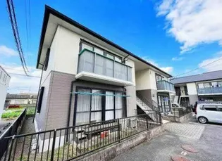 ダイアンサスK IIの画像