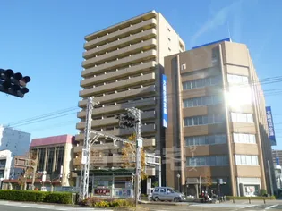 ハイツカトレヤの画像