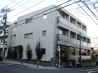 ヴィーブルの画像