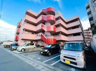 スモールウィローの画像