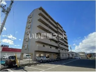 ロフティの画像