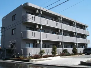 アヴェニールの画像