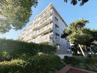 北柏ライフタウン第一団地8号棟の画像