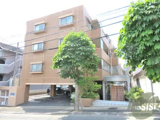 M CHATELET IZUMI CHUOの画像