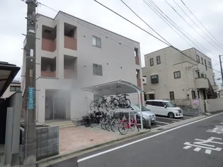 エヴァーグリーン常盤の画像