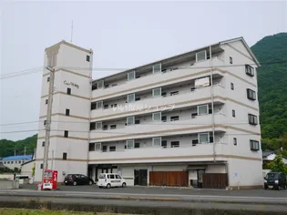 コーポウィッティーの画像