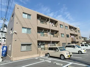 Y&M GENTRY AYUの画像