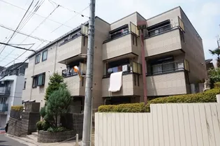 パロヴェルデの画像