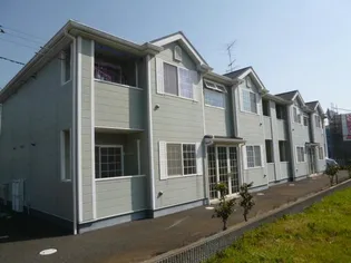 コンフォースIIIの画像