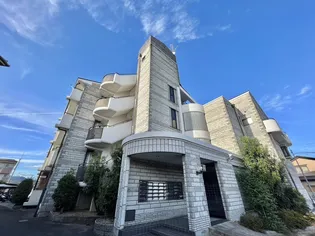 スペイシャス桂の画像