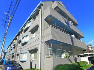 コートトライアングルの画像