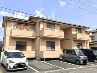 メイフラワーの画像