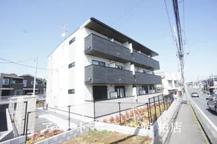 シャイニーの画像