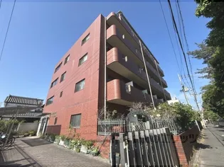 LA RIVIERE OKAMOTOの画像