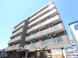 ペルレシュロスPARTVIIIの画像